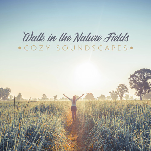 Sweet Bird Song By Sweet Musical Escape Sweet Bird Song By Sweet Musical Escape