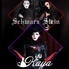 Kaya & Schwarz Stein Live Tour in Chile