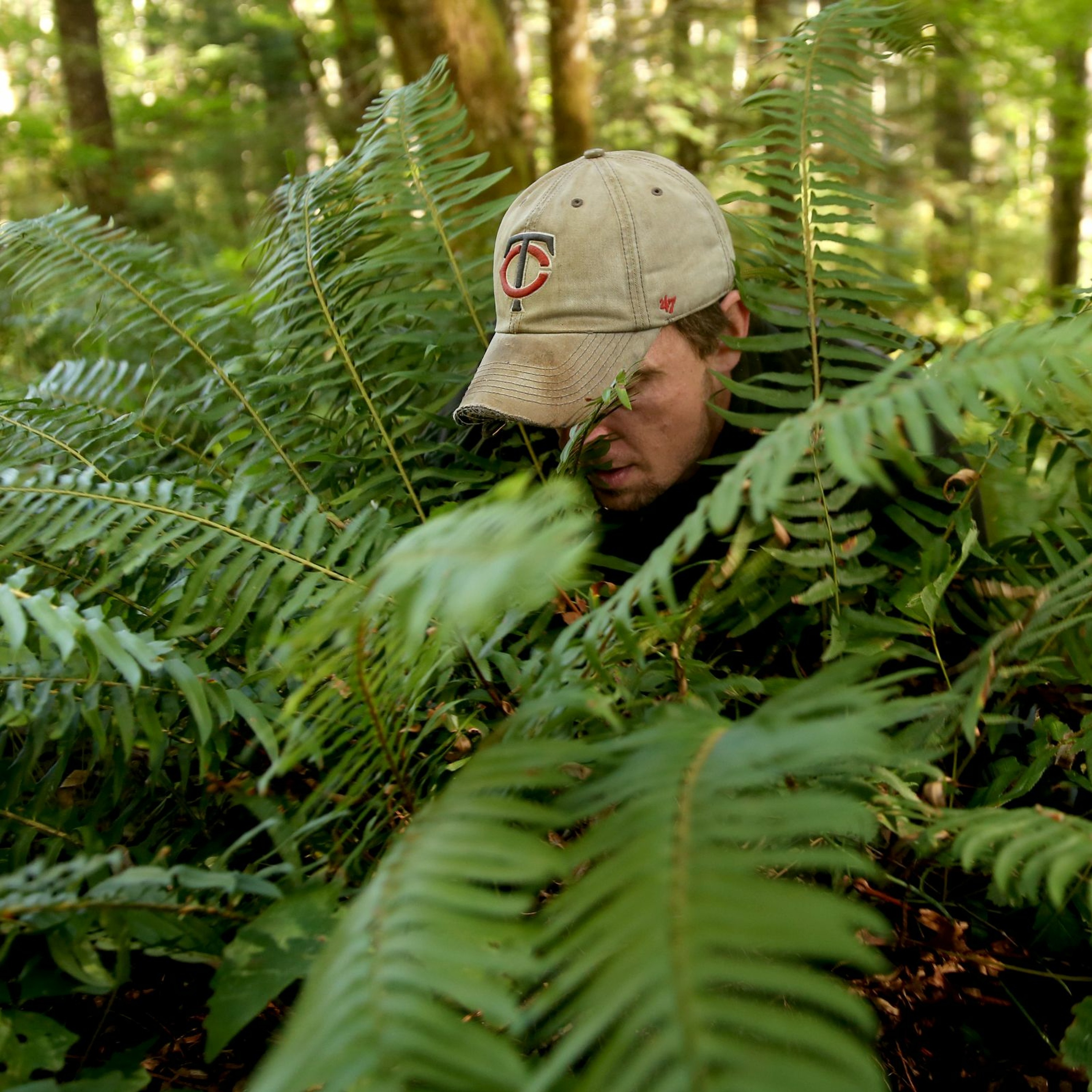 Fern hunt! How to harvest plants from Oregon's national forests for your backyard with a free permit