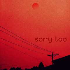 Sorry Too (Remix)