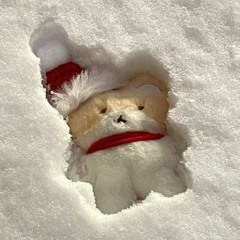 ❄️𝐏𝐋𝐀𝐘𝐋𝐈𝐒𝐓❄️  겨울느낌 낭낭한 플레이리스트