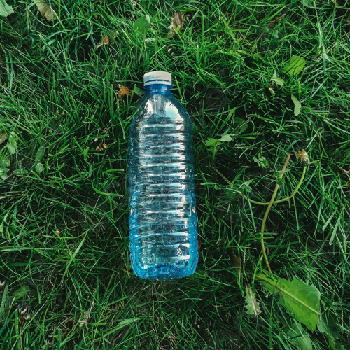 The God Bottle Song - Gen 1:26-27