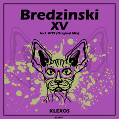 Bredzinski - XV