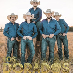 Los Dorados - Bonita (En Vivo)