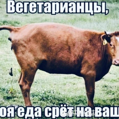 комом в горлі