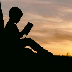 ليس مطلوب منك أن ترى النصر - علي فريد