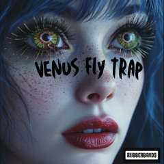 venus fly trap