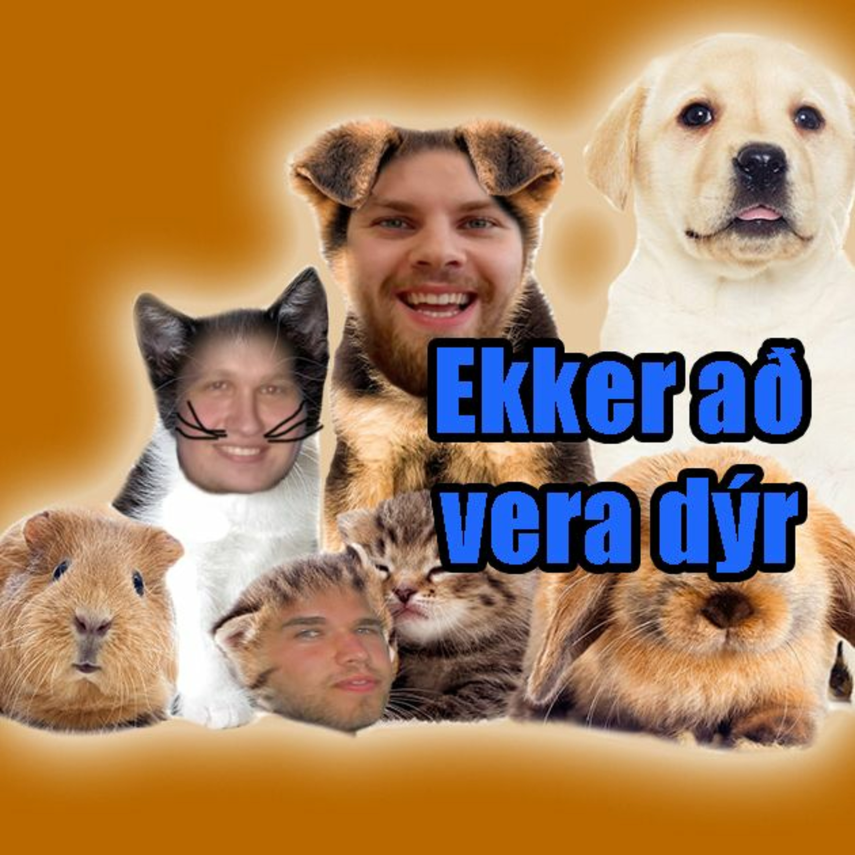 Ekkert að frétta