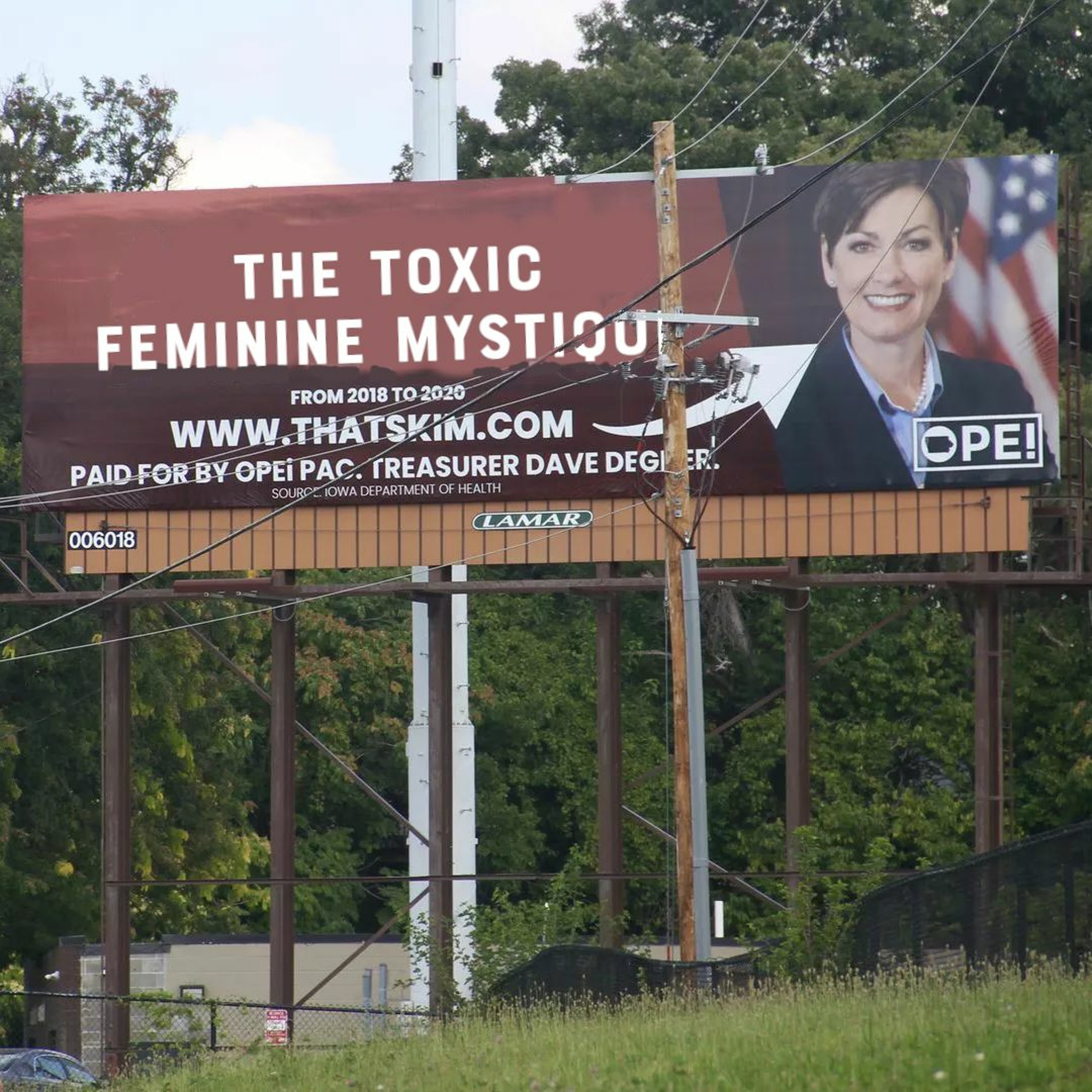 TEASER - The Toxic Feminine Mystique XIII: That Skim Dot Com with Taylor (9/13/2021)