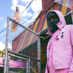 International Jefe Shooters (Picasso Slowed Edit)