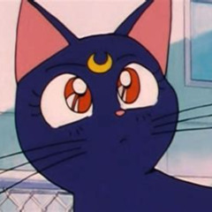 the space between us