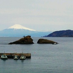 宝島