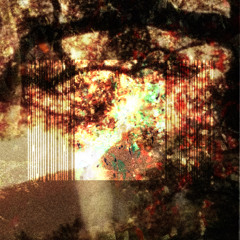 AOPWORK.