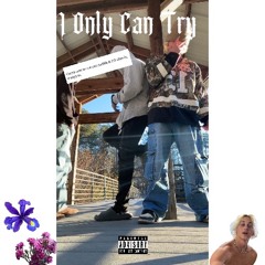 I Can Only Try (Prod. flower X luffysome)