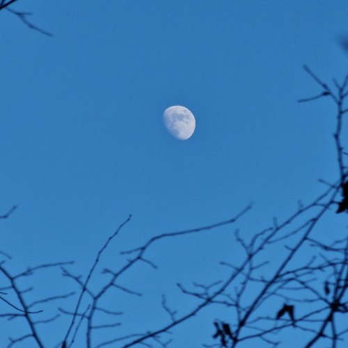 Antonio Adolfo - Aonde Voce Vai