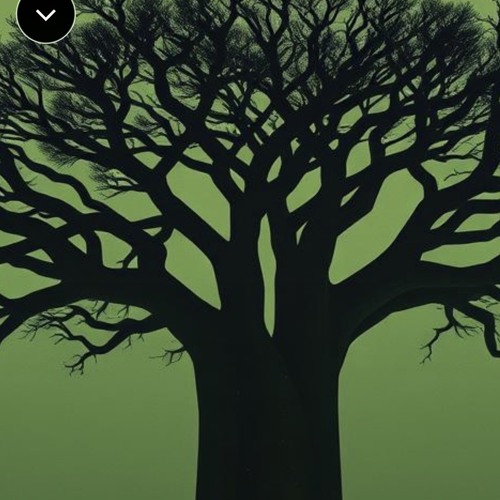 spirit-of-the-baobab