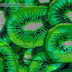 Pulsations Morbides dans une purée de Kiwi (séance 4 - La musique au-delà du numérique)
