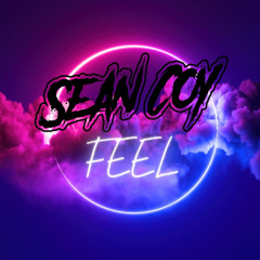 Feel - Sean Coy