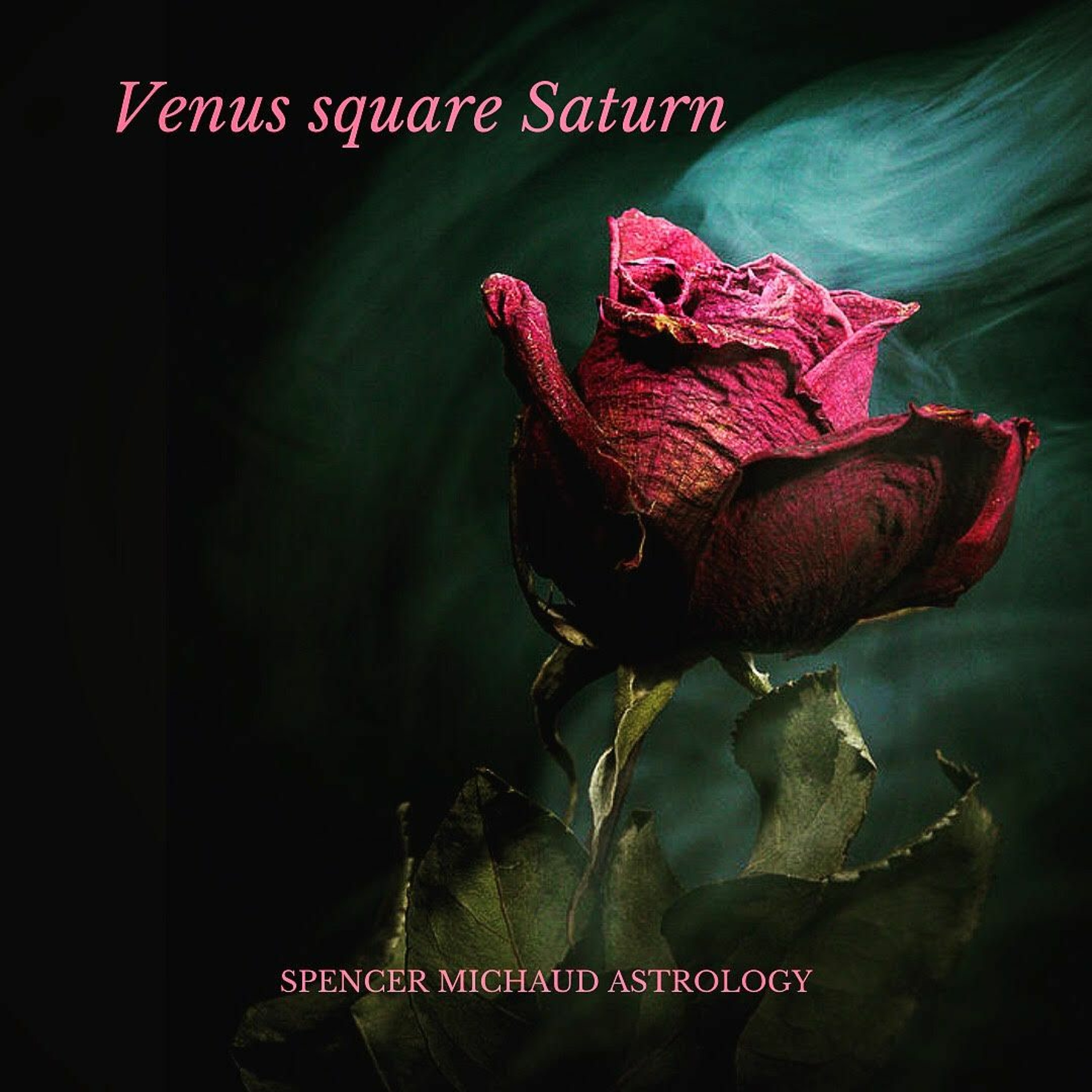 Spencer Michaud Astrology