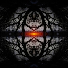 the light of day