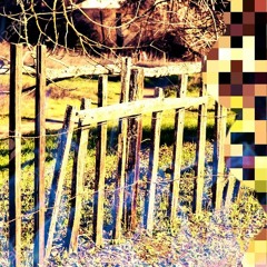 Crooked  Fence
