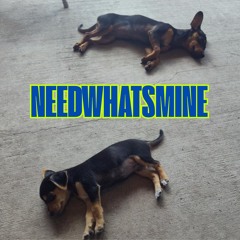 Needwhatsmine
