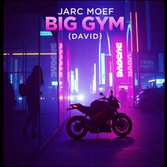 Big Gym ( David)