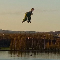 Rhys+Nick 8 March 2020