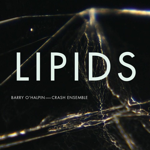 Lipids (2015) for bass clarinet, cello and electric guitar - perf. Crash Ensemble