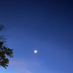 AMBIENT SAMPLES MAY 25