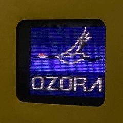Ozolaria【Limited Express OZORA × Adularia】