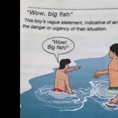 Buzz low - Thong Song (Disstract Remix)