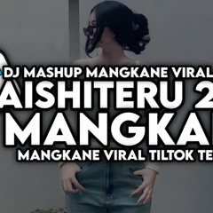 JJ TIKTOK VELOCITY AISHITERU 2