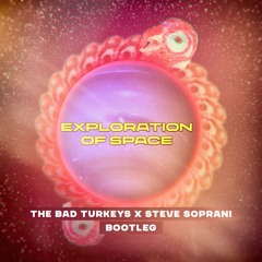 The Bad Turkeys X Steve Soprani - Exploration Of Space Bootleg [Preview] FREE RELEASE
