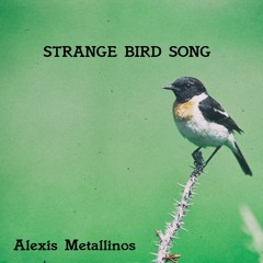 Alexis Metallinos - Strange Bird Song