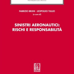PDF Sinistri aeronautici: rischi e responsabilit? (Italian Edition) for ipad