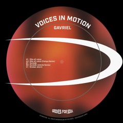 SYN Premiere: GAVRIEL - Rite of voice (Pampa remix) [GFS008]