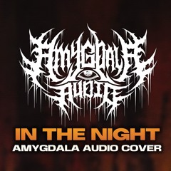 Phinehas - In The Night \ Amygdala Audio instrumental Cover