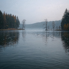Rain Ripples