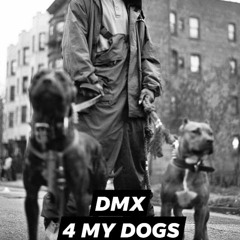DMX 4 MY DOGS- 5 RACES