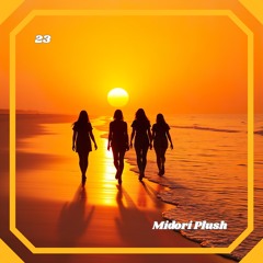 23 - Midori Plush