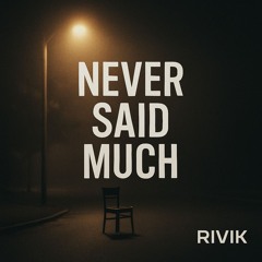 Never Said Much