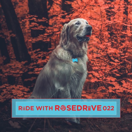 RiiDE with ROSEDRiiVE 022