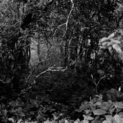 burrow [improvising percussion and electronics]