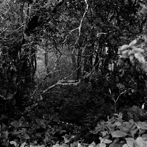burrow [improvising percussion and electronics]