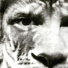 TECH HOUSE - DA SWING