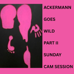 CAM RADIO - CAM SESSIONS BY CHRISTIAN ACKERMANN 16-08-2025wav