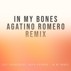 Lost Frequencies, David Kushner - In My Bones (Agatino Romero Remix)