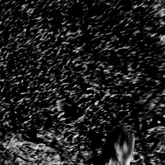 night life (prod. dj mike)