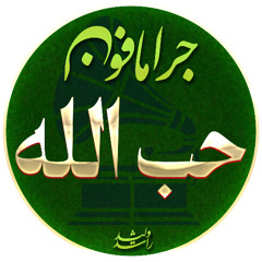أحمد المحلاوى- رسول السلم